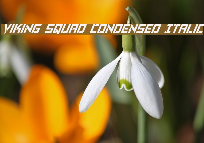 Viking Squad Condensed Italic Font examples