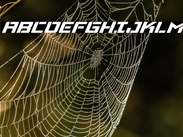 Viking Squad Expanded Italic Example 1