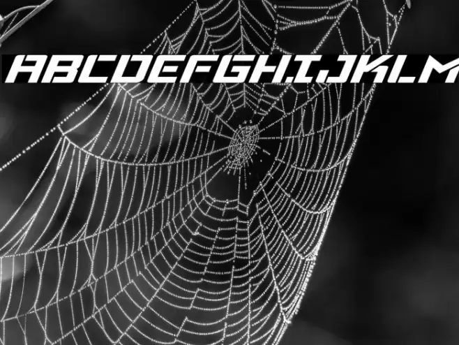 Viking Squad Expanded Italic Font examples