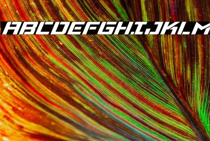 Viking Squad Expanded Italic Example 3