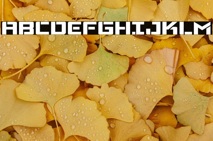 Viking Squad Expanded Example 1