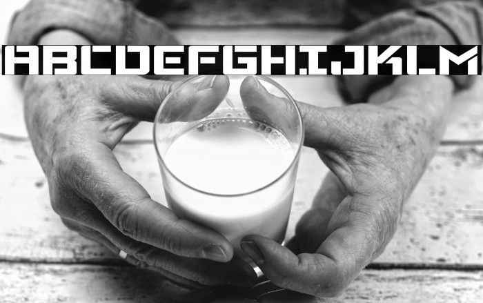 Viking Squad Expanded Example 2