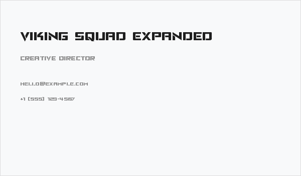 Viking Squad Expanded Business Card