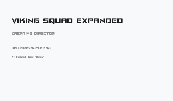 Viking Squad Expanded Business Card