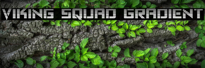 Viking Squad Gradient Example 2