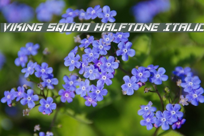 Viking Squad Halftone Italic Font examples