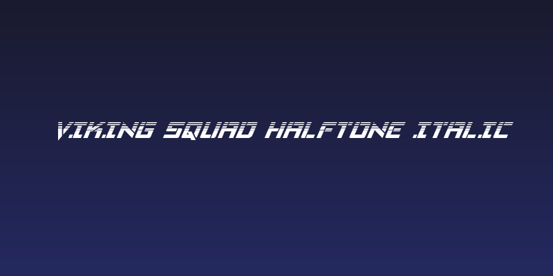 Viking Squad Halftone Italic Social Header
