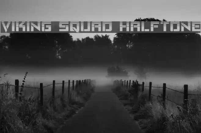 Viking Squad Halftone Font examples