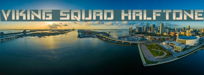 Viking Squad Halftone Example 3