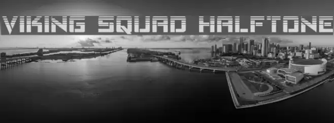 Viking Squad Halftone Font examples