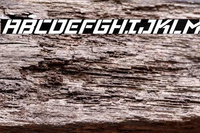 Viking Squad Italic Example 1