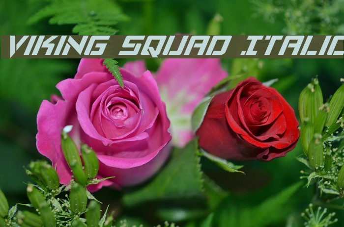 Viking Squad Italic Font examples