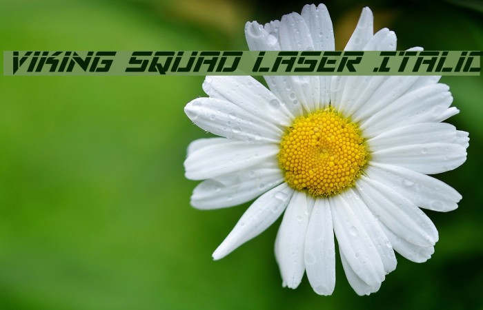 Viking Squad Laser Italic Example 2