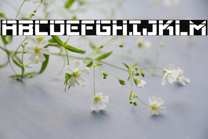 Viking Squad Laser Example 1