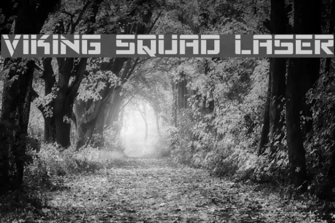 Viking Squad Laser Font examples