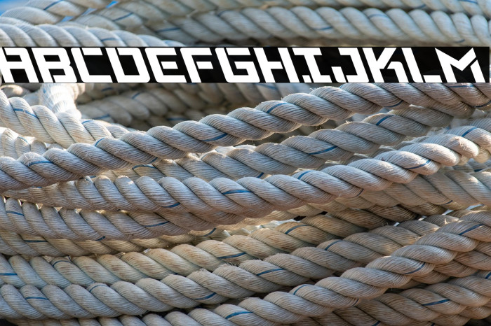 Viking Squad Leftalic Example 1