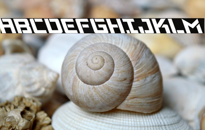 Viking Squad Leftalic Example 2