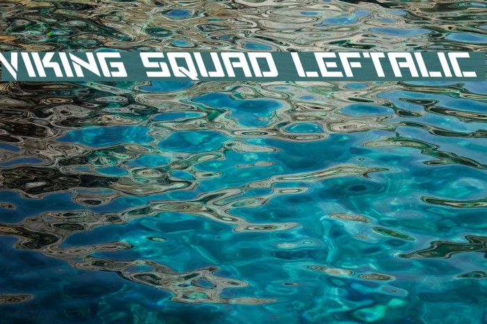 Viking Squad Leftalic Example 3