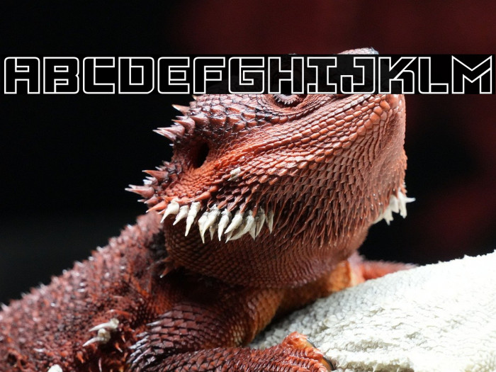 Viking Squad Outline Example 1