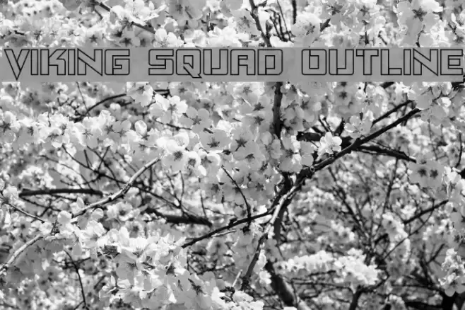 Viking Squad Outline Font examples