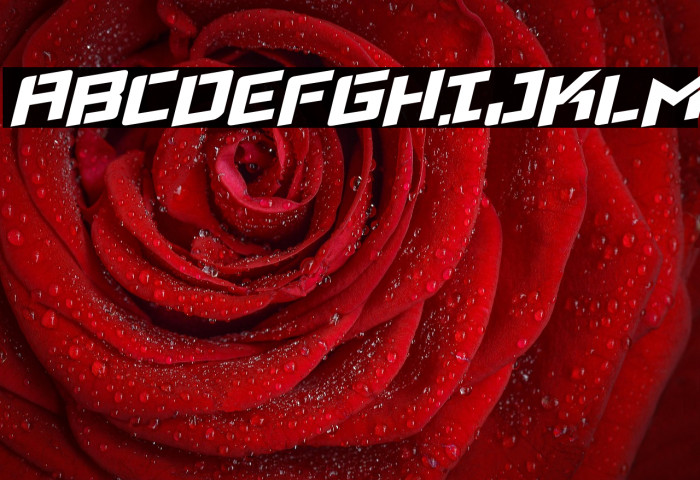 Viking Squad Rotalic Example 2