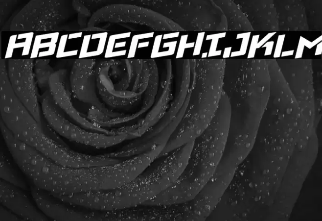 Viking Squad Rotalic Font examples