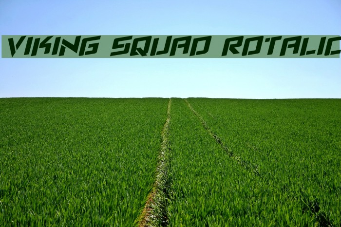 Viking Squad Rotalic Example 3