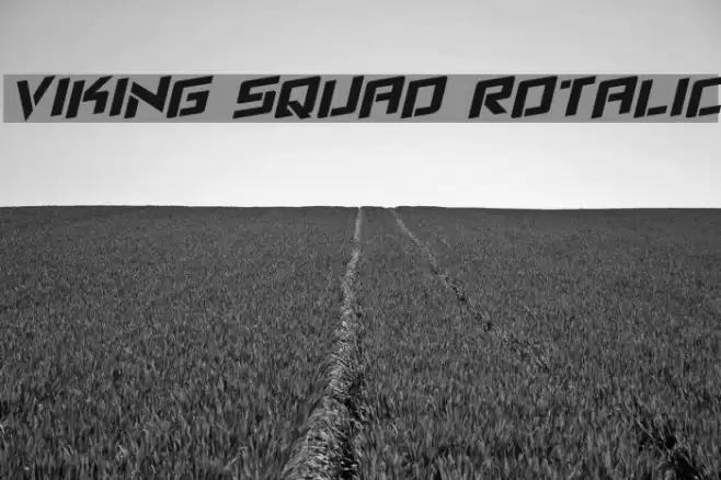 Viking Squad Rotalic Font examples