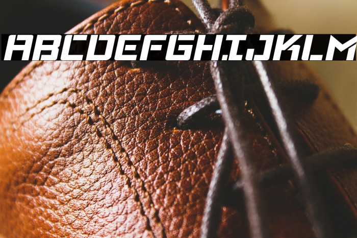 Viking Squad Semi-Italic Example 3