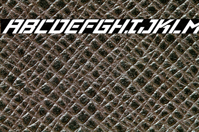 Viking Squad Super-Italic Example 1