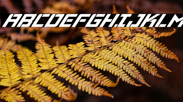 Viking Squad Super-Italic Example 3