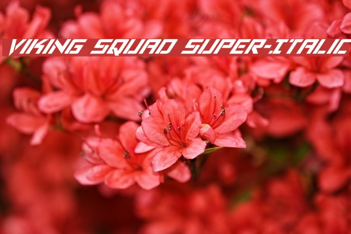 Viking Squad Super-Italic Example 1