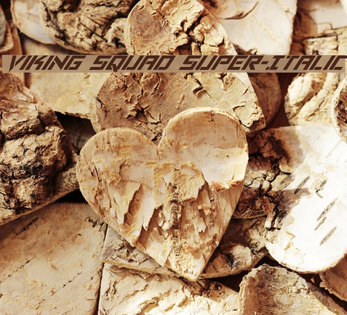 Viking Squad Super-Italic Example 3