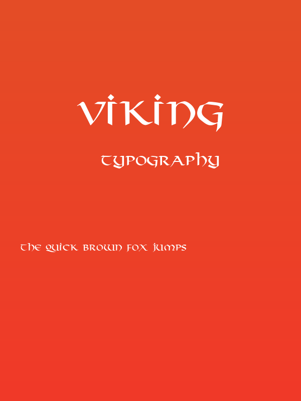 Viking Poster