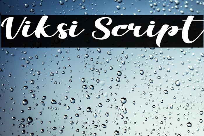 Viksi Script Font examples