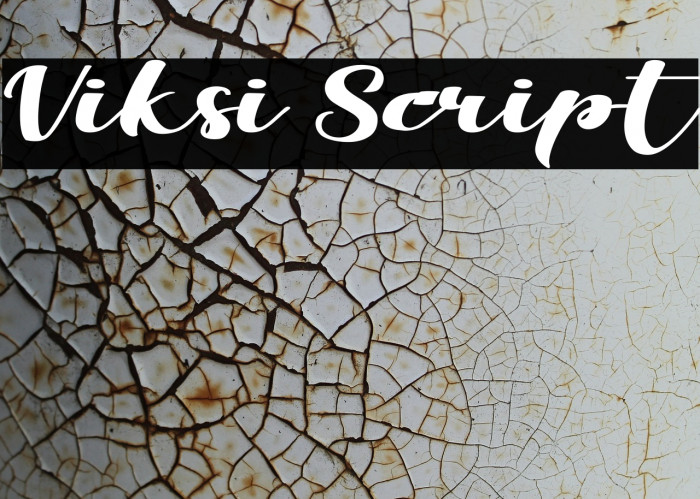 Viksi Script Font examples
