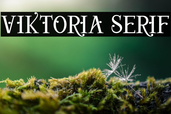 Viktoria Serif Example 2