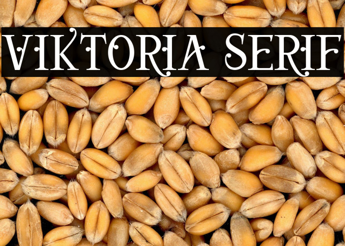 Viktoria Serif Example 3