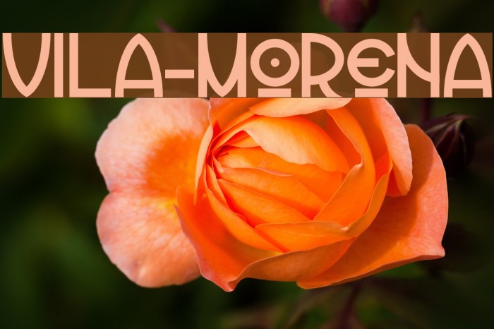 Vila-Morena Font examples