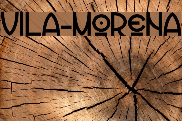Vila-Morena Font examples