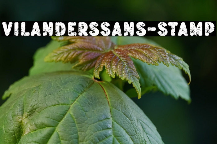 VilandersSans-Stamp Example 2