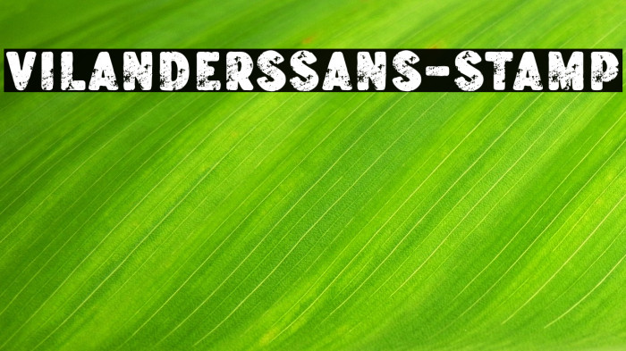 VilandersSans-Stamp Example 3