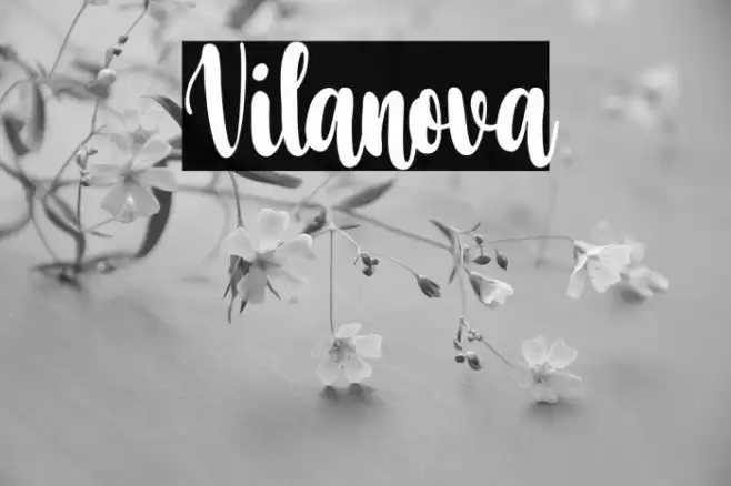 Vilanova Font examples