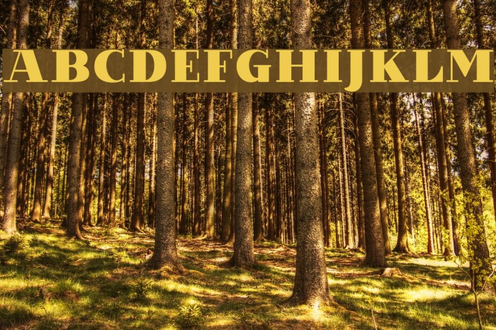 VillaDidot-Black Font examples