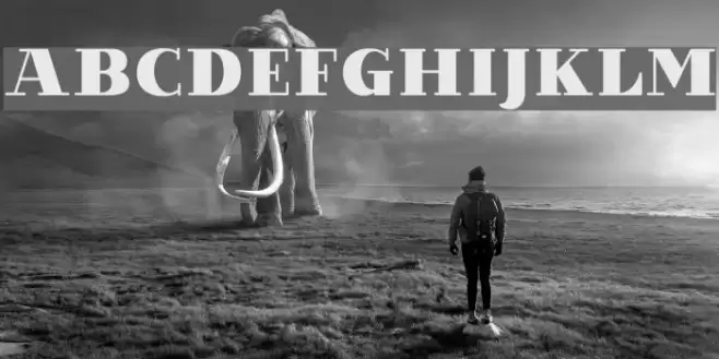 VillaDidot-Black Font examples