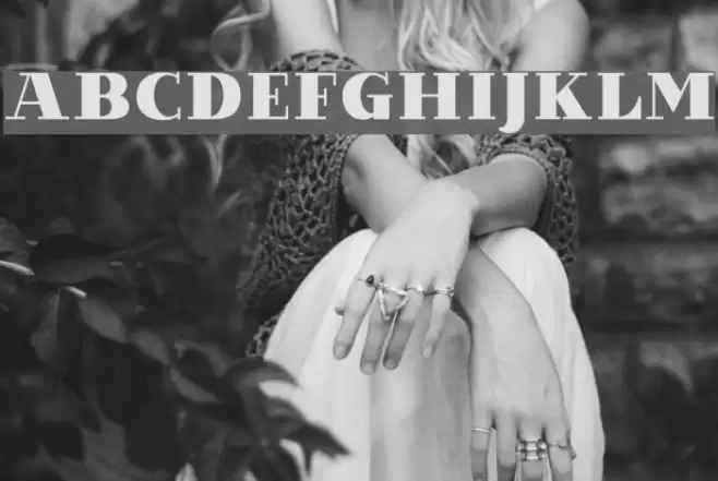 VillaDidot-Black Font examples