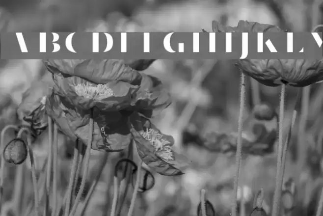 VillaDidot-Cutout Font examples