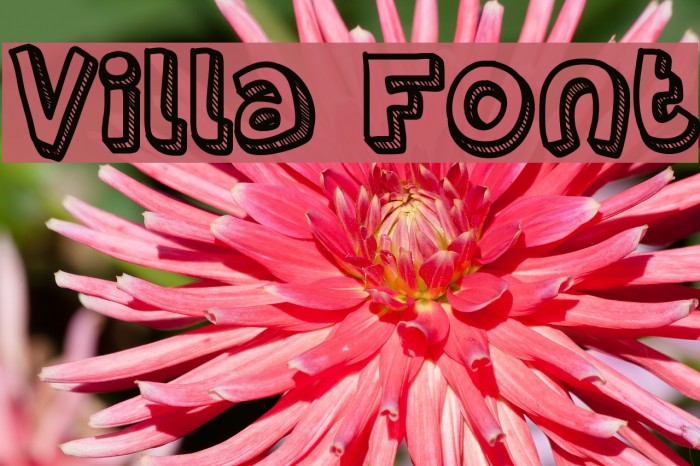 Villa Font examples