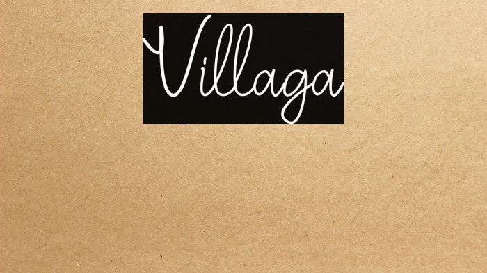 Villaga Example 2