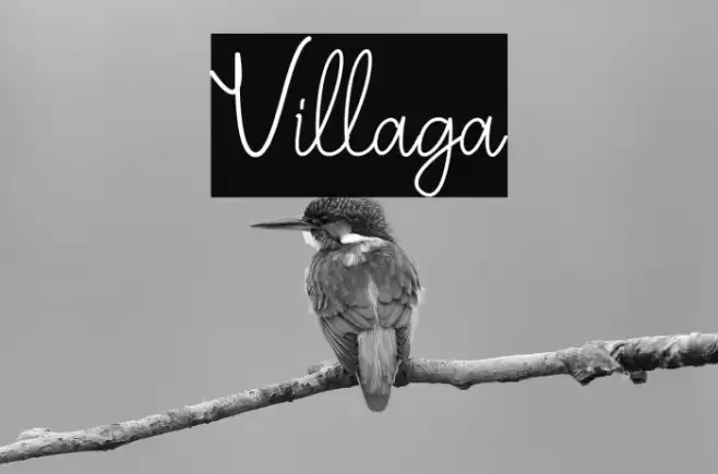Villaga Font examples